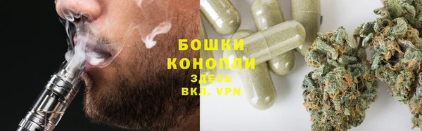 крисы Верея