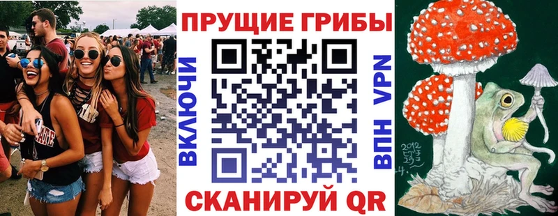 Галлюциногенные грибы GOLDEN TEACHER Кореновск